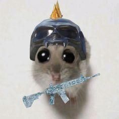 aletta Sparks (alettasparks.lens) Lens social identity (.lens handle) PFP