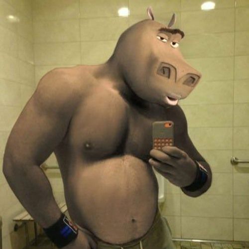 moto_moto's Lens avatar