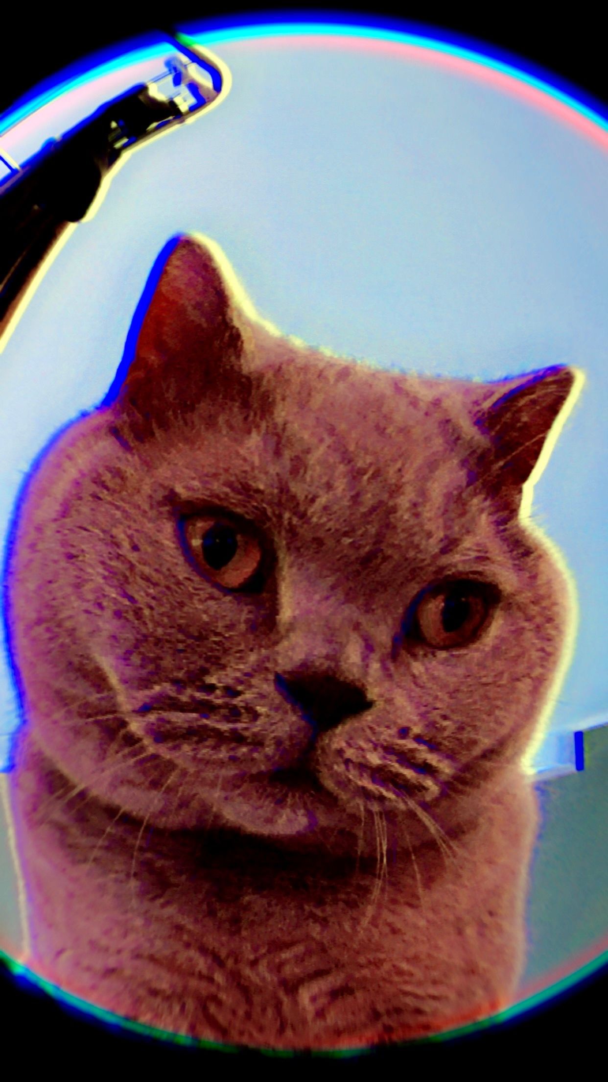 heystein.lens's Lens avatar