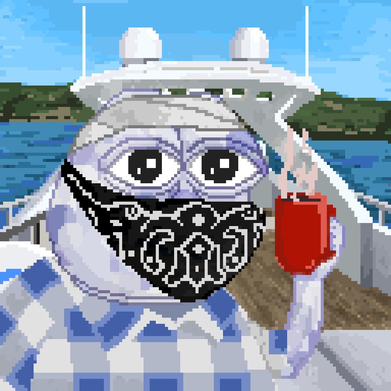 Dumpling's Lens avatar