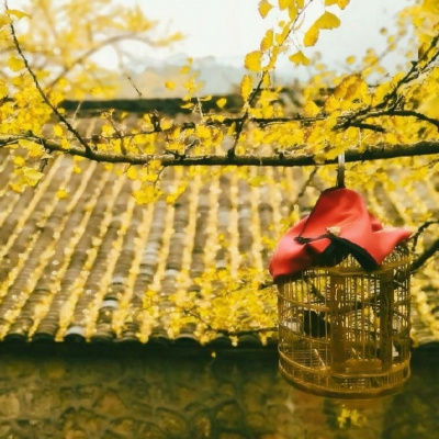 thacke (thacke.lens) Lens social identity (.lens handle) PFP