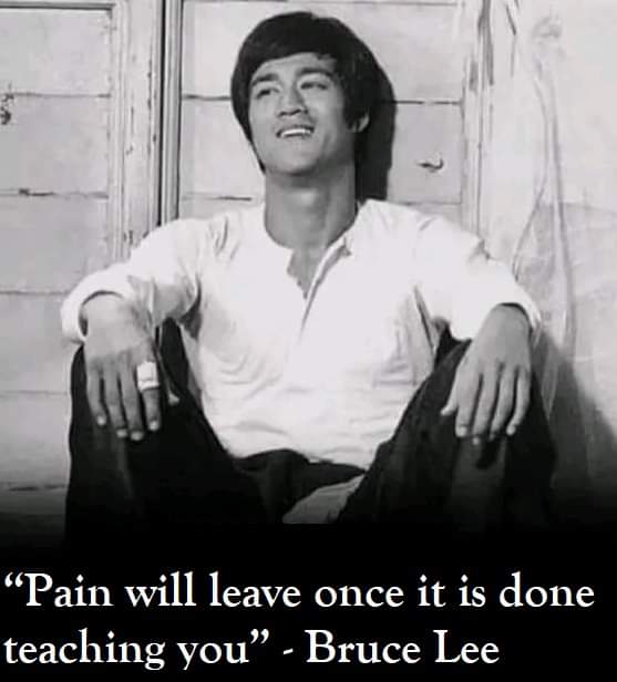 Anon274 (anon274.lens) Lens social identity (.lens handle) PFP