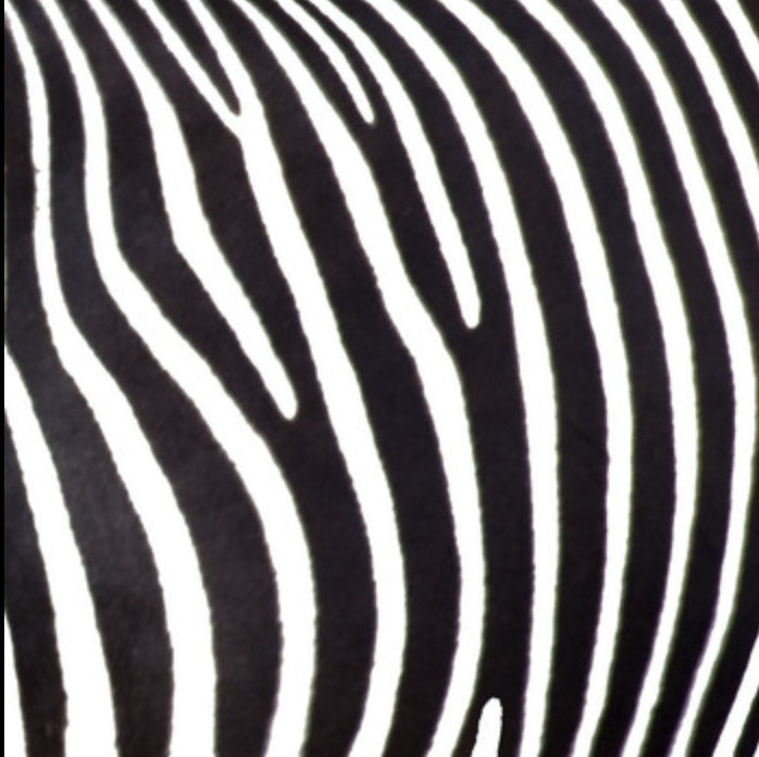 Animals (wild_animal.lens) Lens social identity (.lens handle) PFP