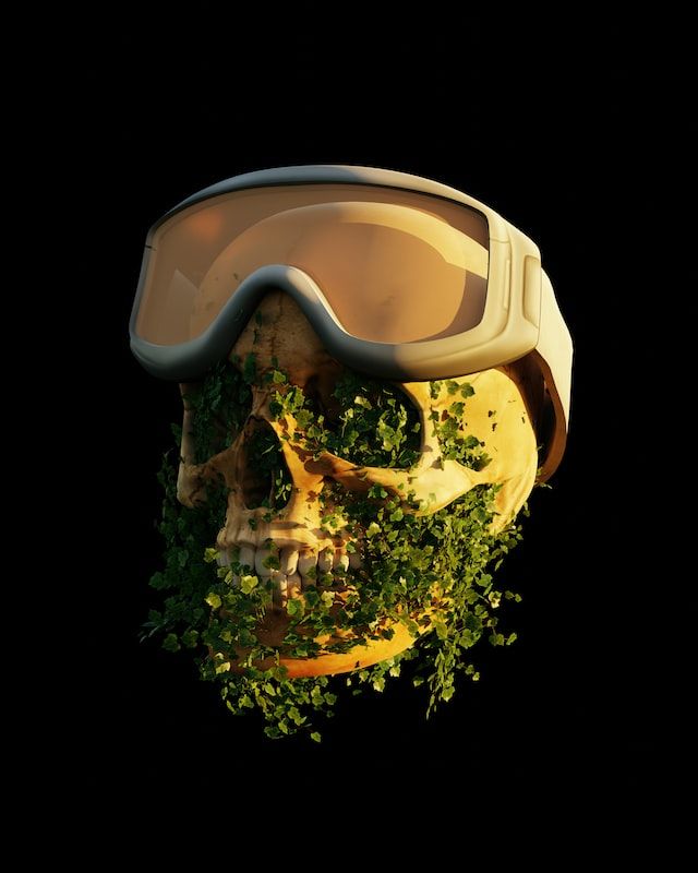 Vladyslav's Lens avatar