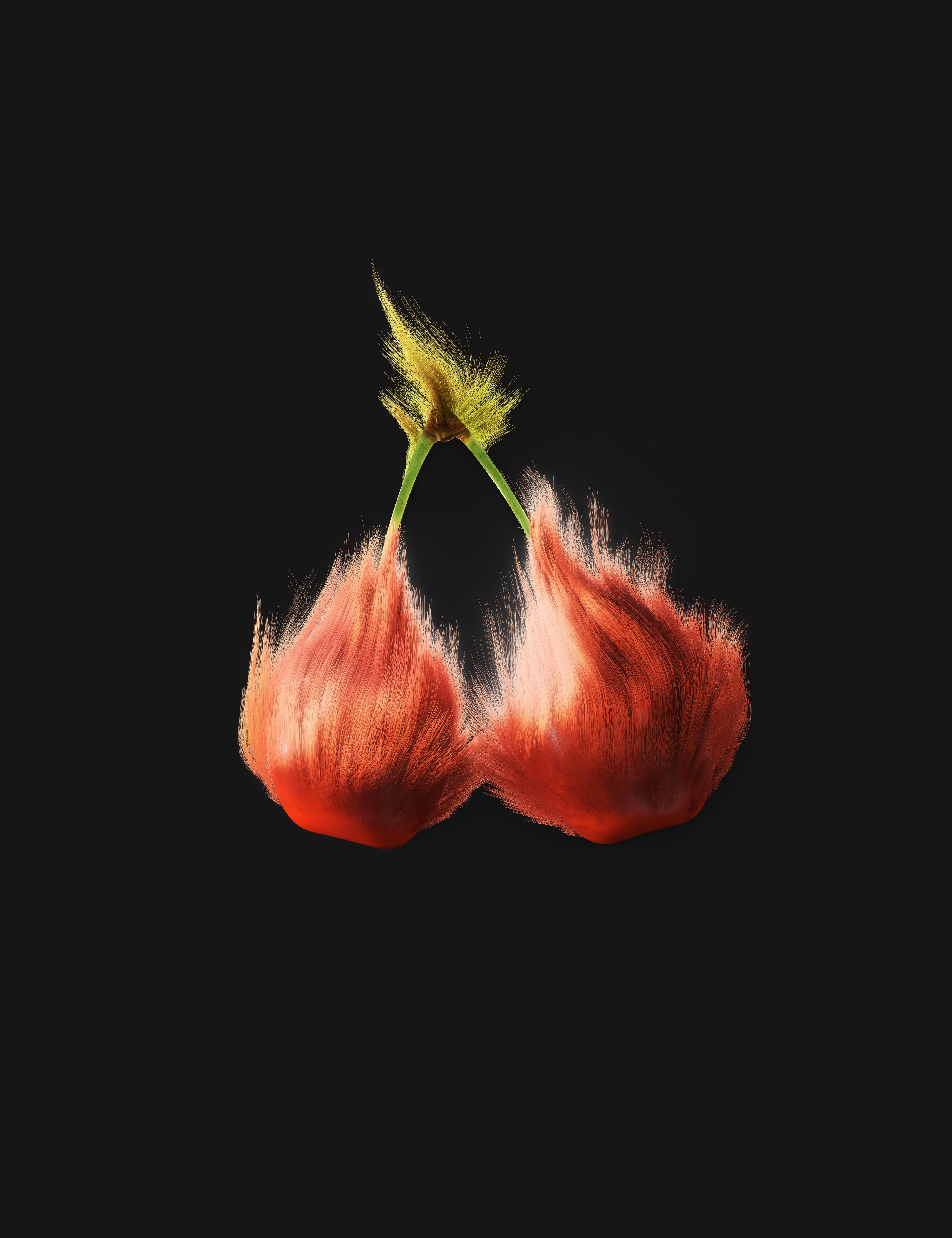 cherryontop (cherryontop.lens) Lens social identity (.lens handle) PFP