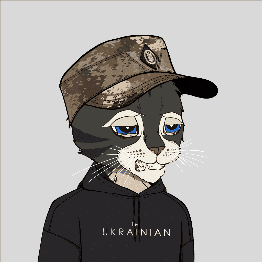 rdchk's Lens avatar
