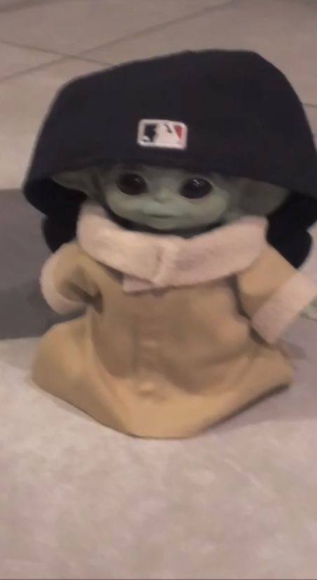 Terrestial (terrestial.lens) Lens social identity (.lens handle) PFP