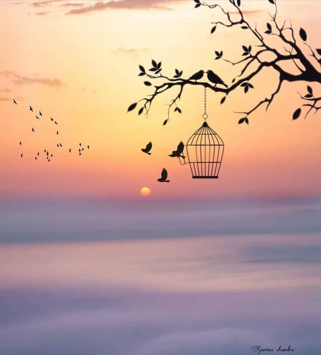 elahei (elahei.lens) Lens social identity (.lens handle) PFP