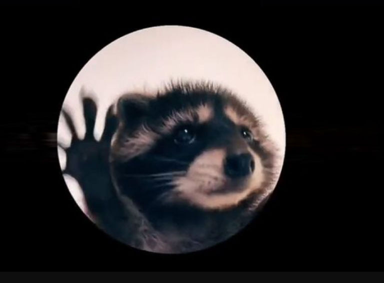 nick (nicknomoney.lens) Lens social identity (.lens handle) PFP