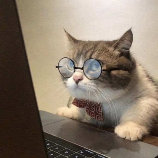 Virtual Cat's Lens avatar