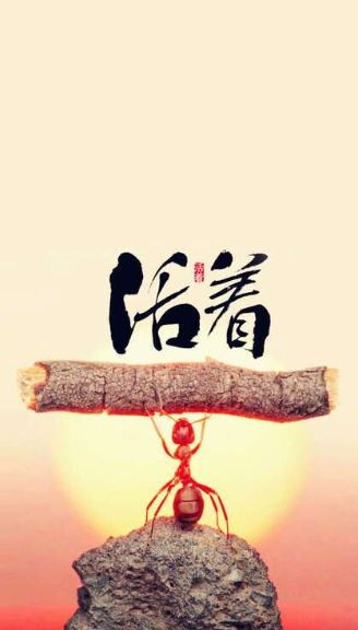 aberyang (aberyang.lens) Lens social identity (.lens handle) PFP