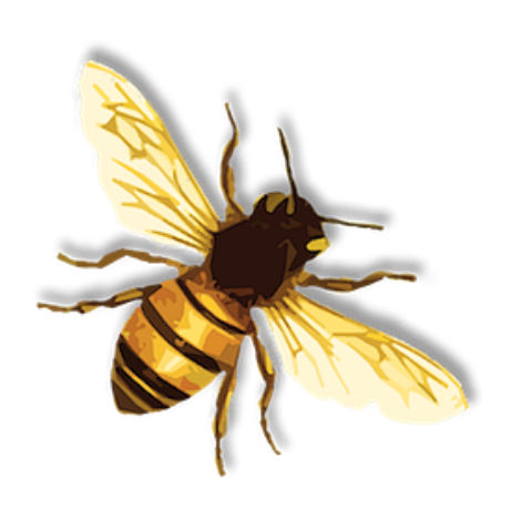 Ticklebee's Lens avatar