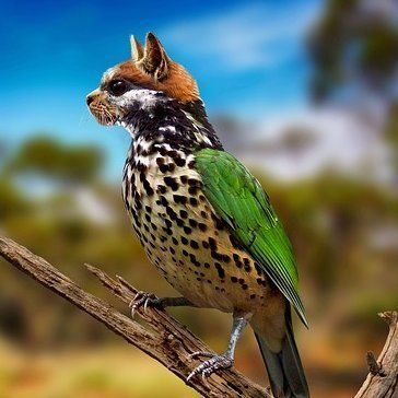 Lyric (dossantos.lens) Lens social identity (.lens handle) PFP