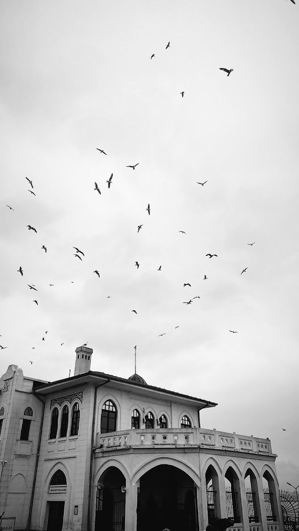 khalkedon (khalkedon.lens) Lens social identity (.lens handle) PFP