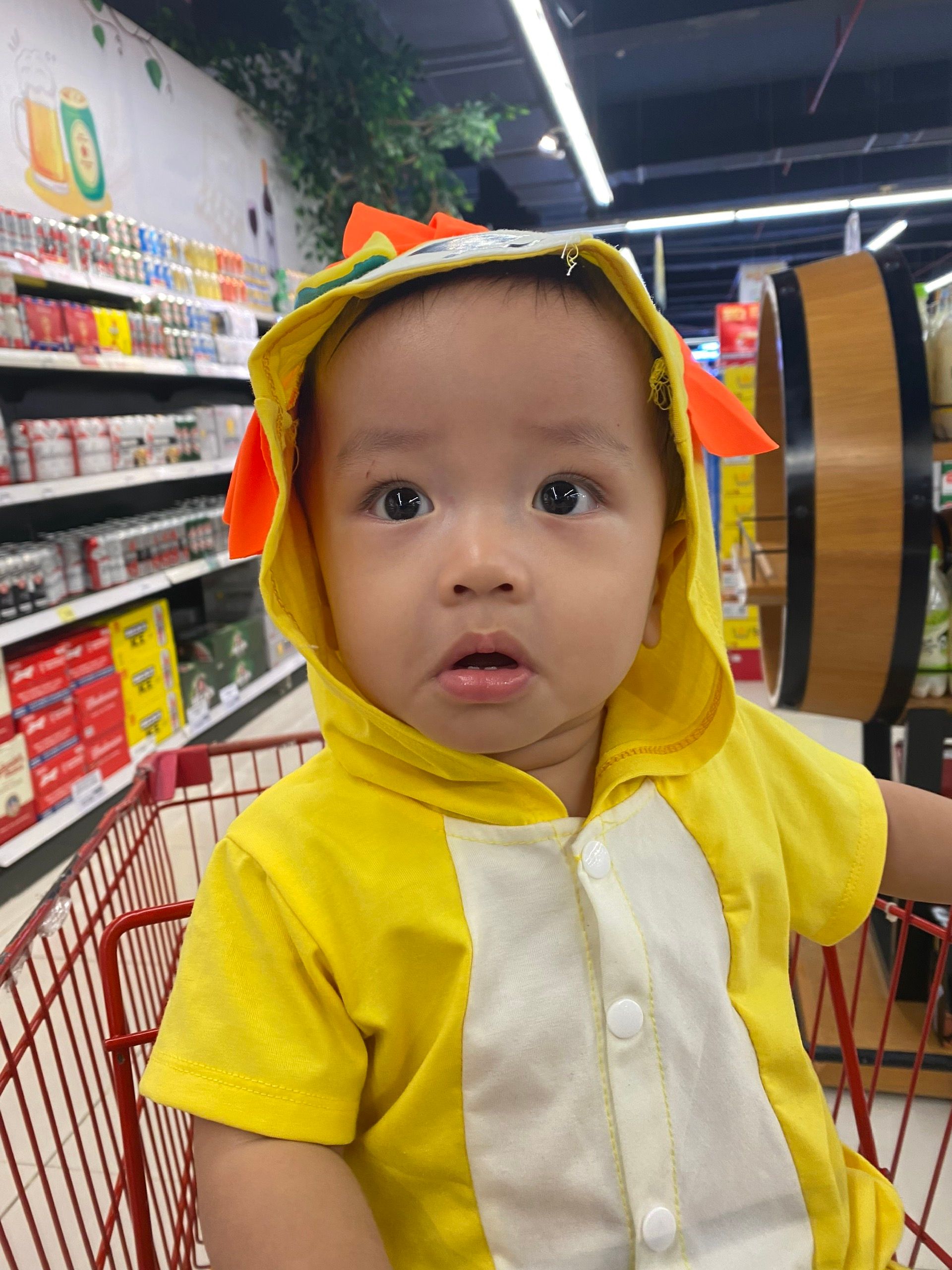 Trung Nguyen ◱ ◱'s Lens avatar