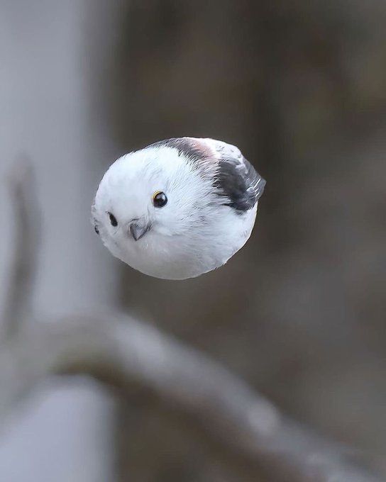 kam's Lens avatar
