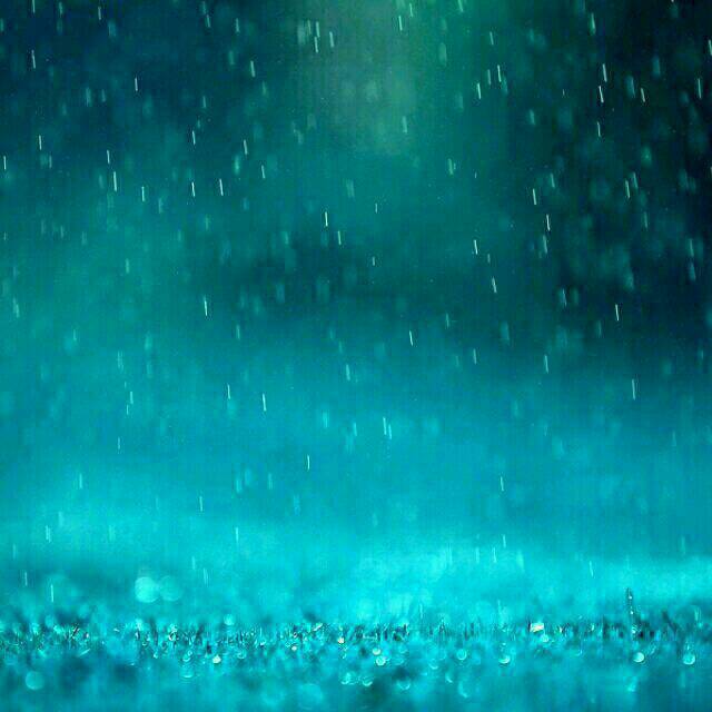 bing77 (bingz.lens) Lens social identity (.lens handle) PFP