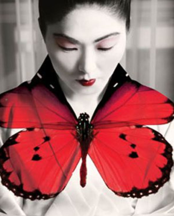 missbutterfly (missbutterfly.lens) Lens social identity (.lens handle) PFP