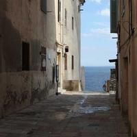 energycertainly (energycertainly.lens) Lens social identity (.lens handle) PFP