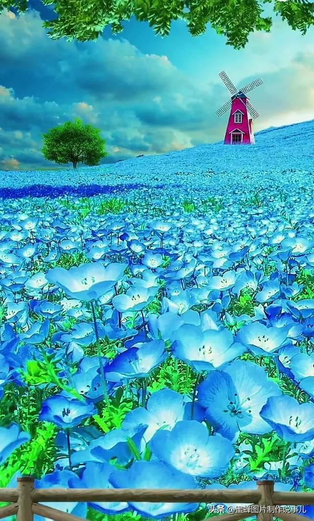 fomoo (fomoo.lens) Lens social identity (.lens handle) PFP