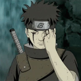 337's Lens avatar