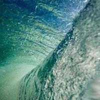 newoh (newoh.lens) Lens social identity (.lens handle) PFP