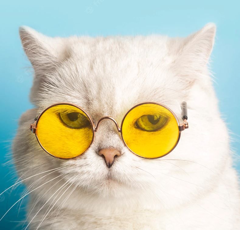 Spiral (spiral.lens) Lens social identity (.lens handle) PFP