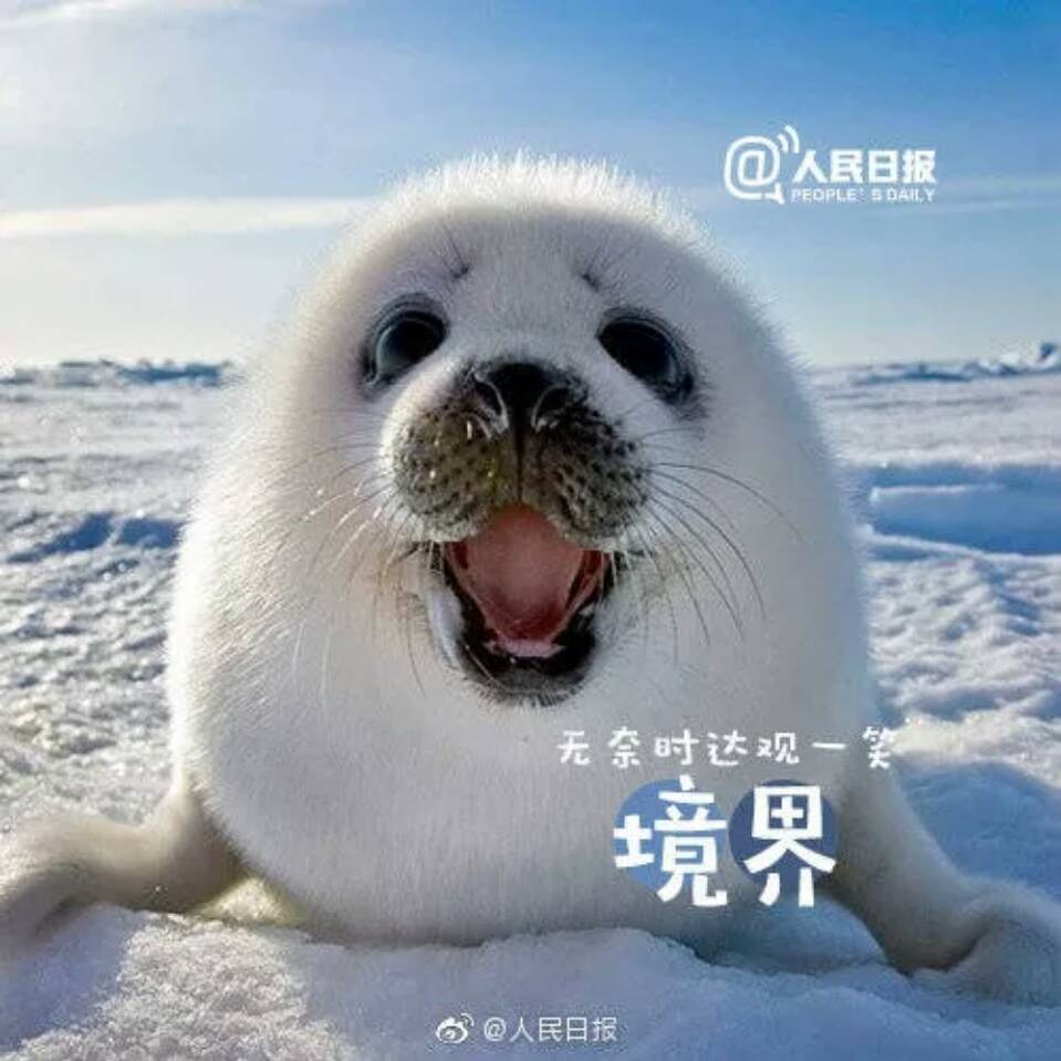 rfdea2500 (ffdear8989.lens) Lens social identity (.lens handle) PFP