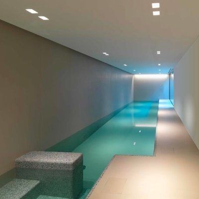 romaiders.lens Lens social identity (.lens handle) PFP