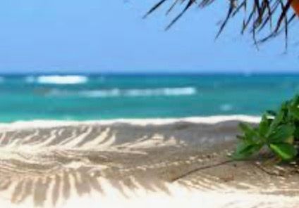 Dudy (lesialola.lens) Lens social identity (.lens handle) PFP