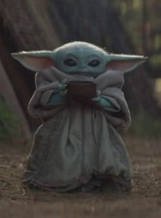 Jak (jakpansc.lens) Lens social identity (.lens handle) PFP