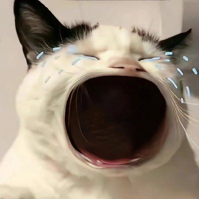 woody (visualizer.lens) Lens social identity (.lens handle) PFP