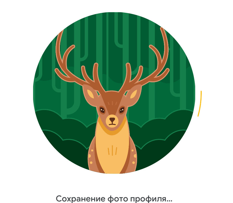 sergeymorj.lens Lens social identity (.lens handle) PFP