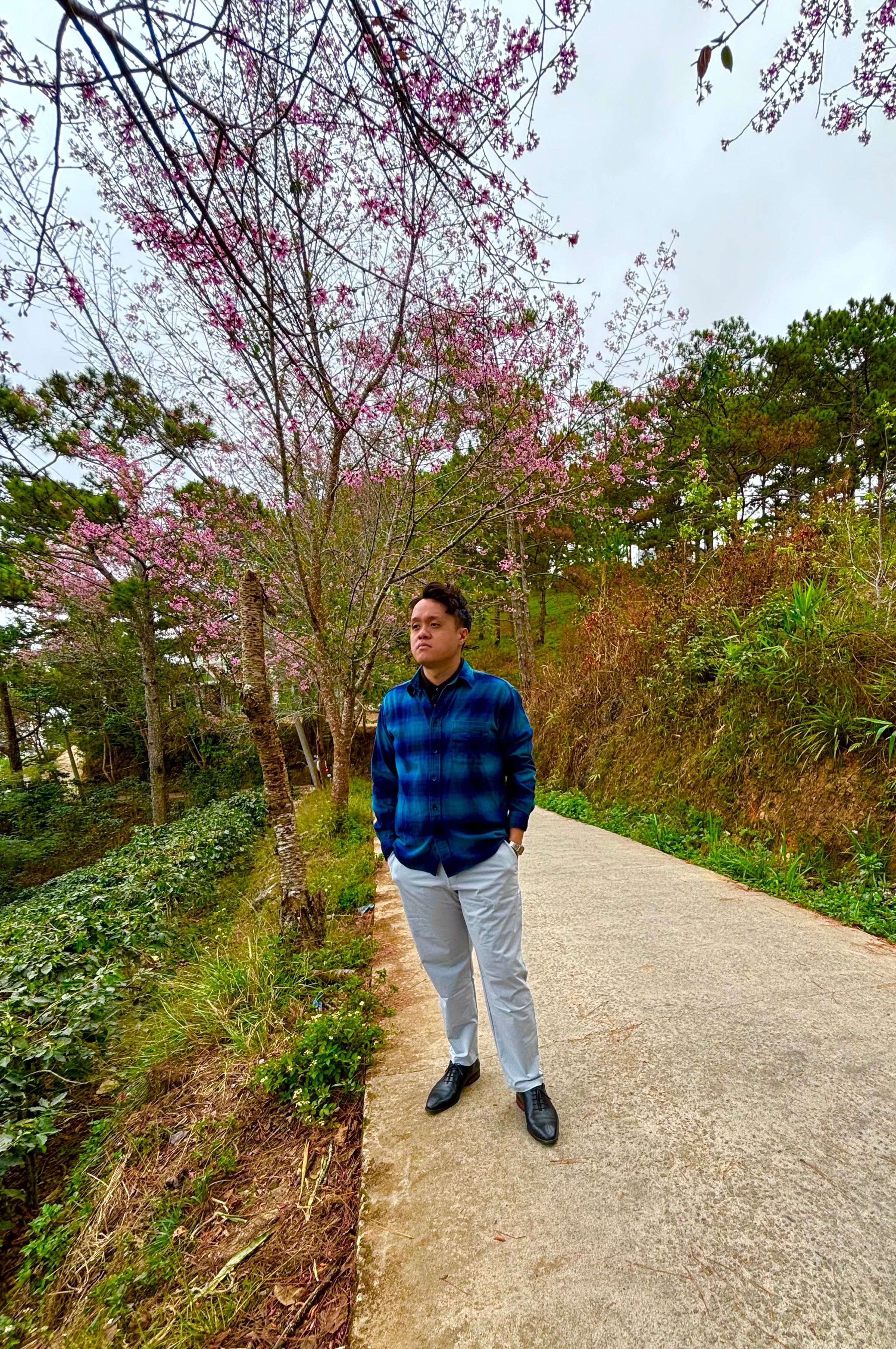 Loc Nguyen's Lens avatar