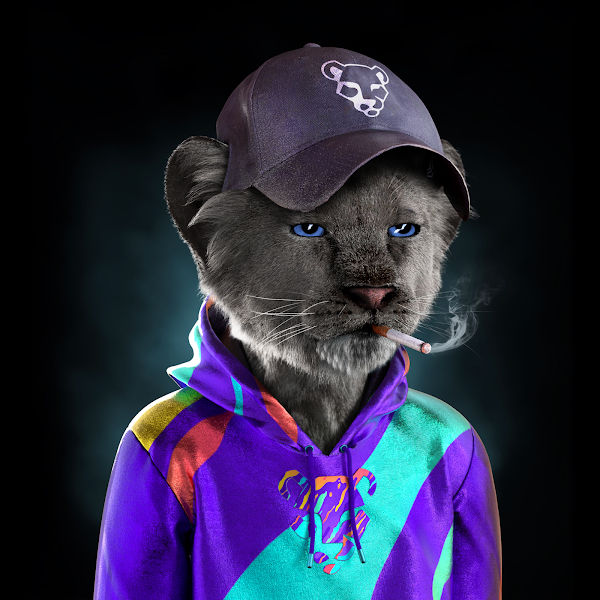 lens113 (lens113.lens) Lens social identity (.lens handle) PFP