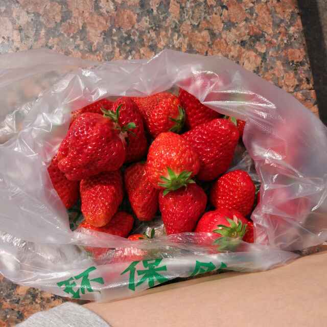 fdhshswrh (dsag8888.lens) Lens social identity (.lens handle) PFP