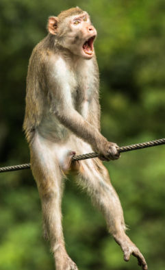 Garry Goodwin (web3instagram.lens) Lens social identity (.lens handle) PFP