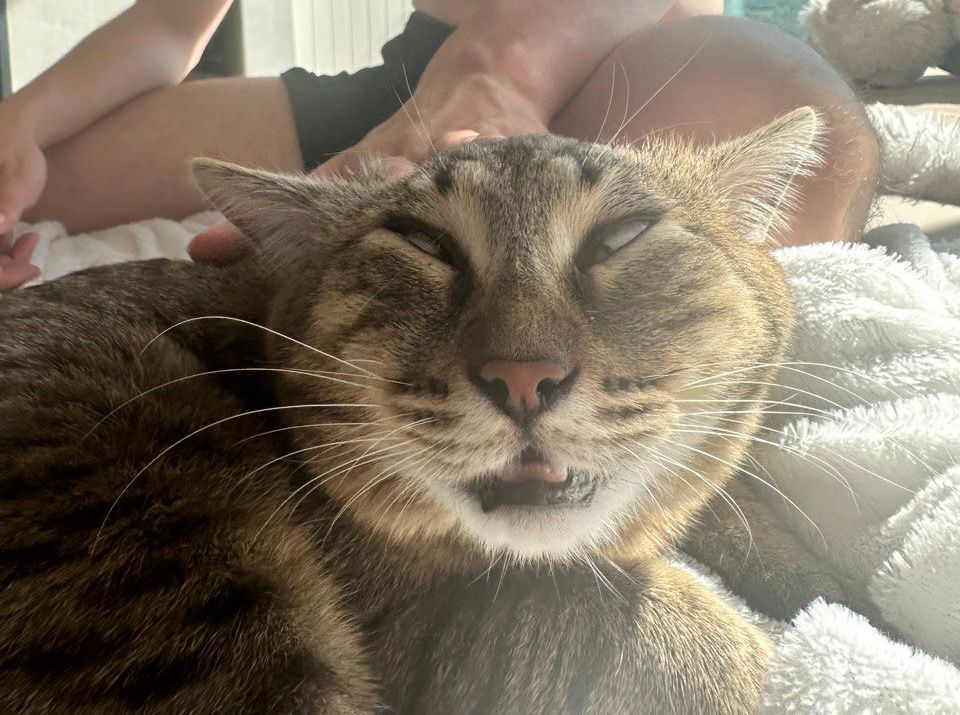 Nikita Kobzev (kbzv5.lens) Lens social identity (.lens handle) PFP