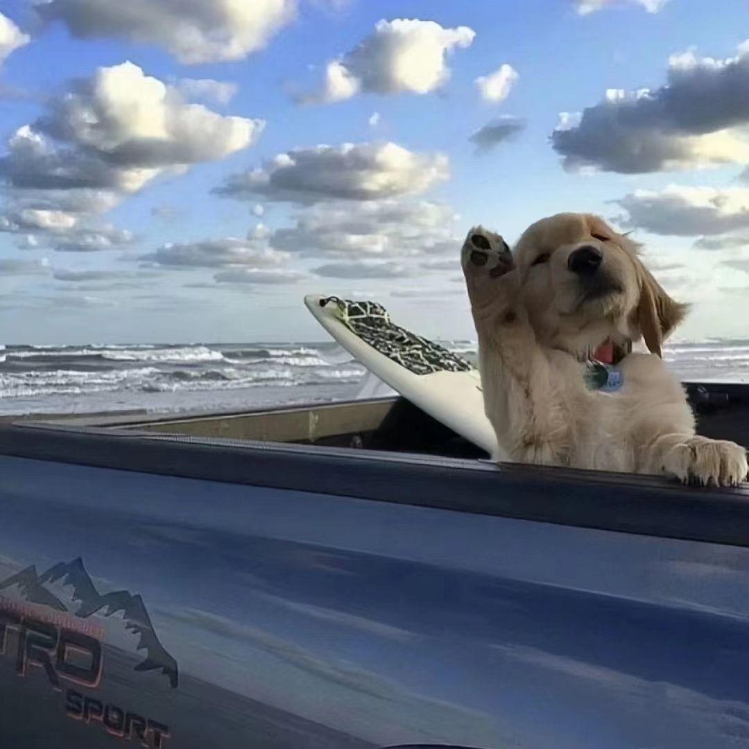 huy (yu8uy7o89u.lens) Lens social identity (.lens handle) PFP