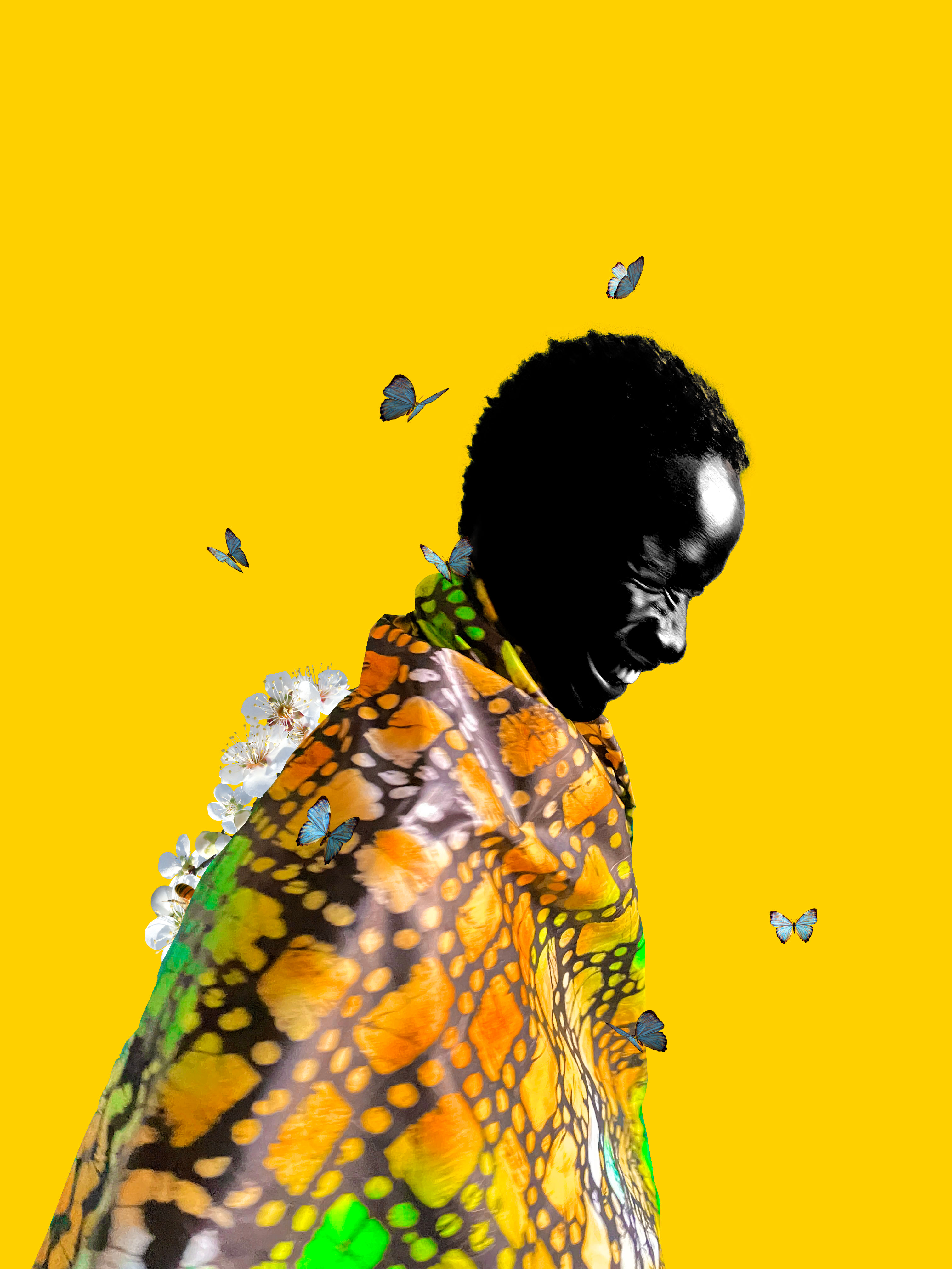 Mayowa's Lens avatar