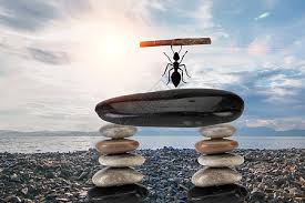 wwy1888 (wwy1888.lens) Lens social identity (.lens handle) PFP