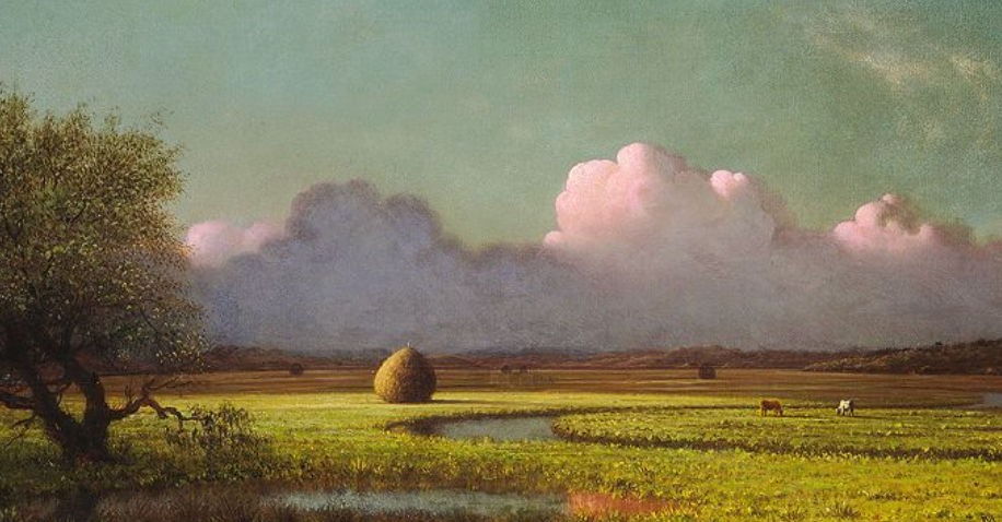 Jay (jayporter.lens) Lens social identity (.lens handle) PFP