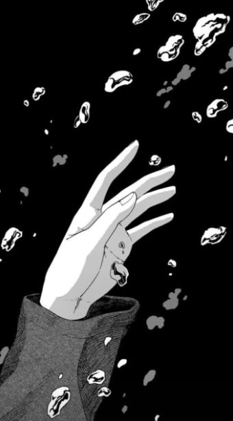 Luna (lunavixn.lens) Lens social identity (.lens handle) PFP