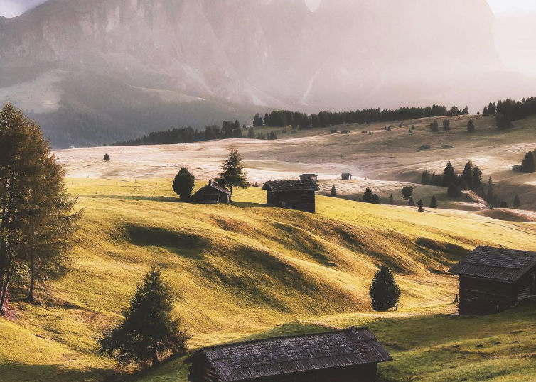 Martinez (martinezaspo.lens) Lens social identity (.lens handle) PFP