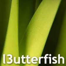 Pavon (pavon.lens) Lens social identity (.lens handle) PFP