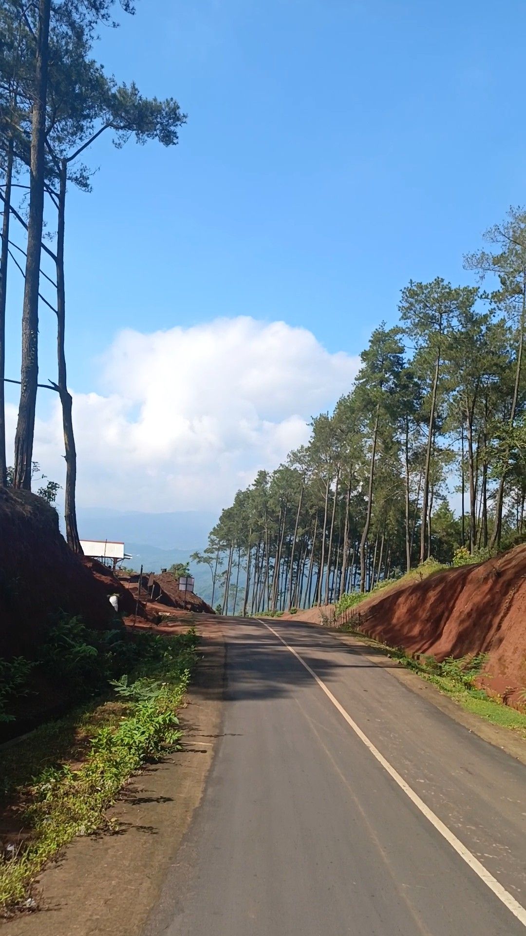 sufyan62.lens Lens social identity (.lens handle) PFP