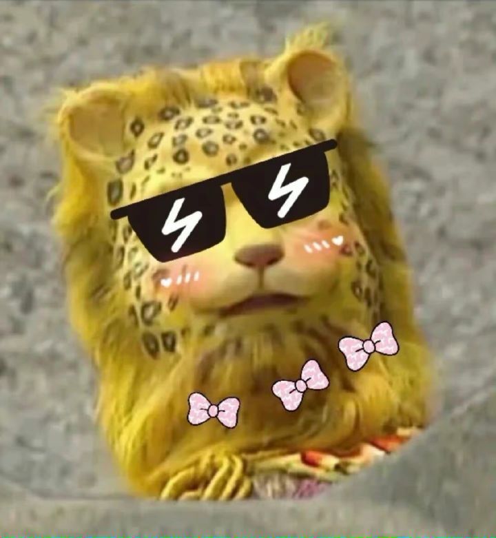 yyws's Lens avatar