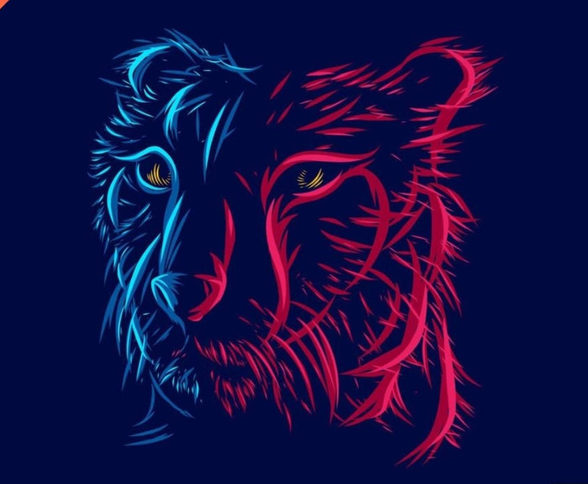 Md Umair Ansari (idumair.lens) Lens social identity (.lens handle) PFP