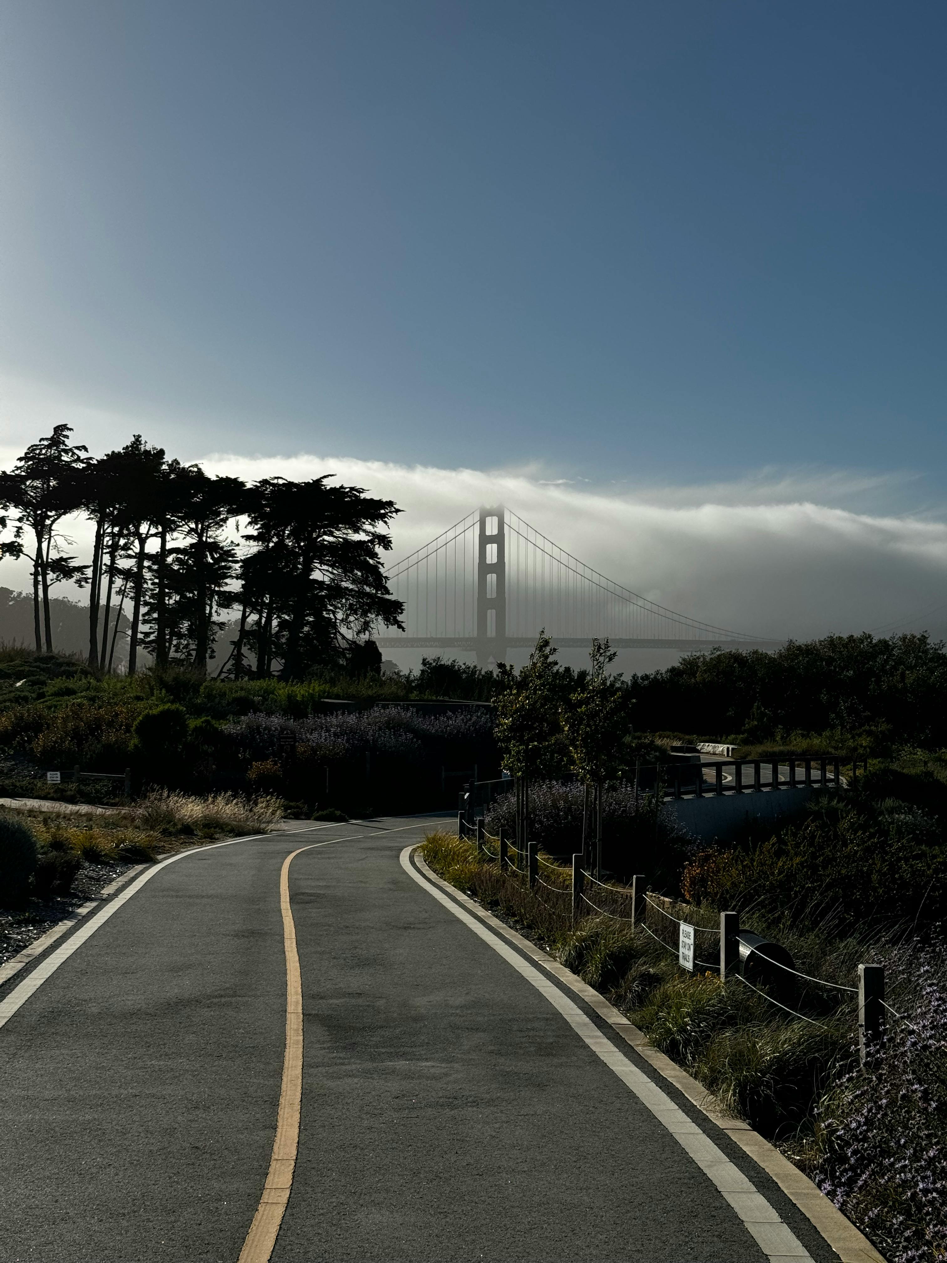 porter (bfvgbyuu.lens) Lens social identity (.lens handle) PFP