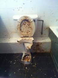 Faisse (faisse.lens) Lens social identity (.lens handle) PFP